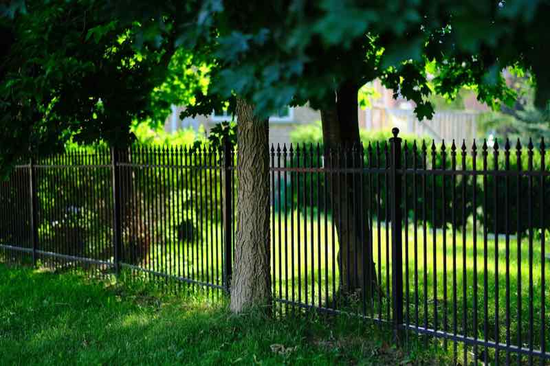 Black aluminum fence in a shaded yard
